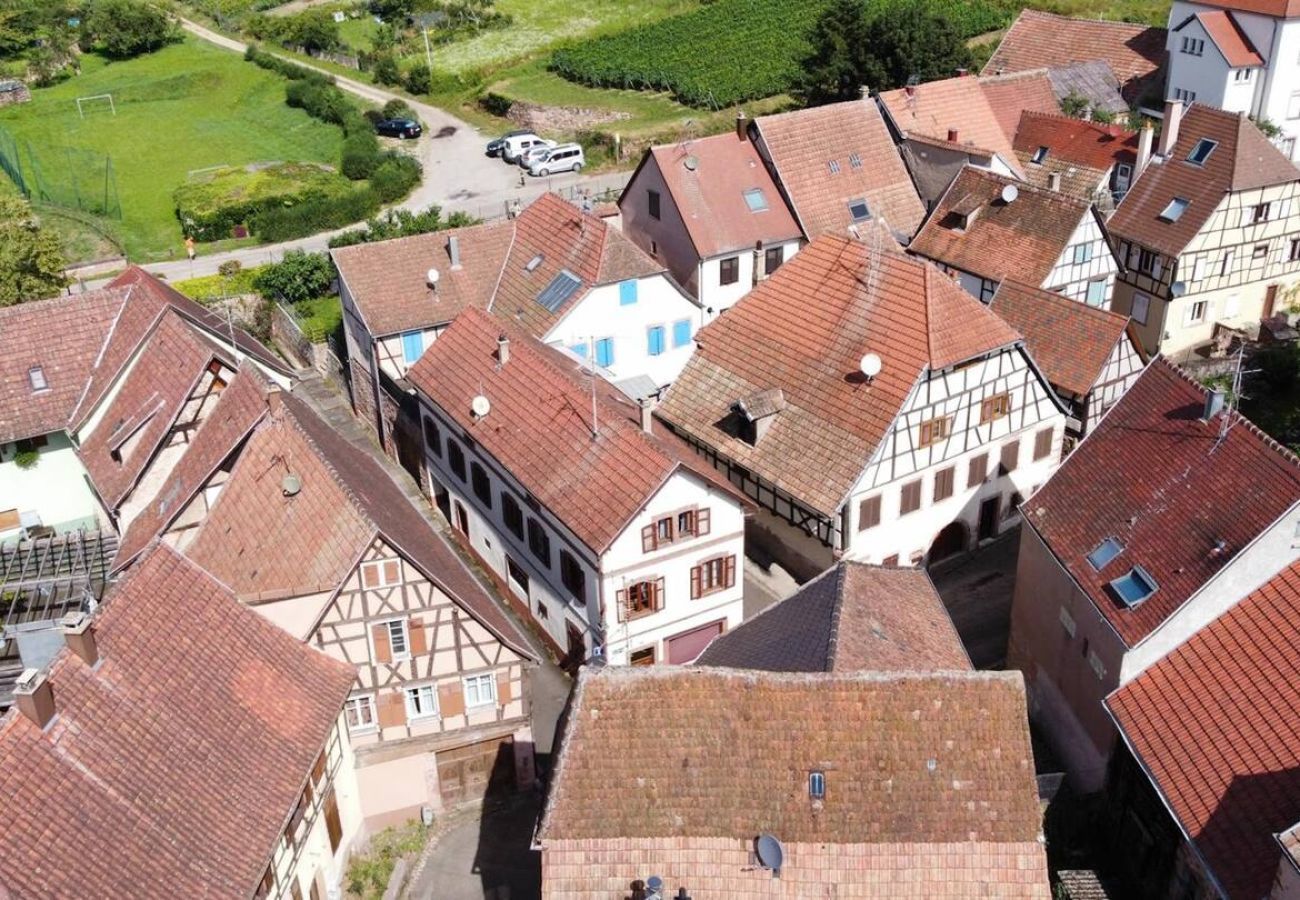 公寓 在 Saint-Hippolyte - Au pied du haut Koenigsbourg 2