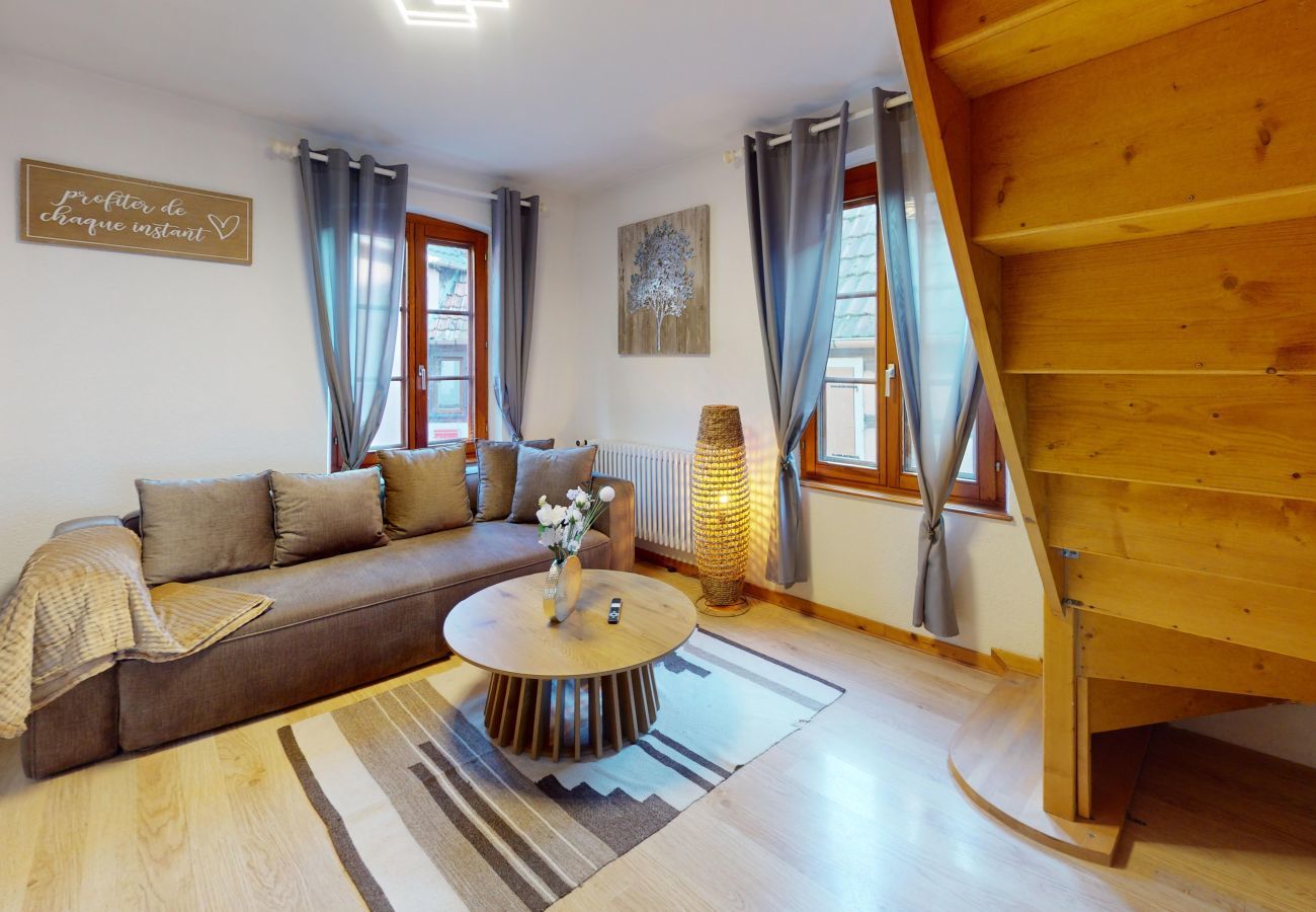 公寓 在 Saint-Hippolyte - Au pied du haut Koenigsbourg 2