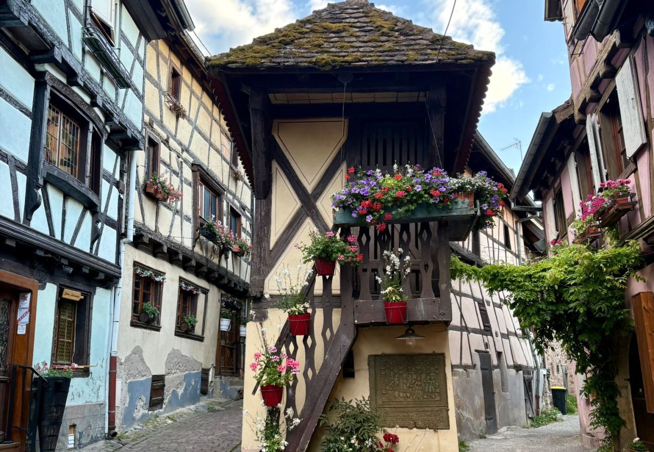 公寓 在 Eguisheim - Le petit Schatz d'Eguisheim