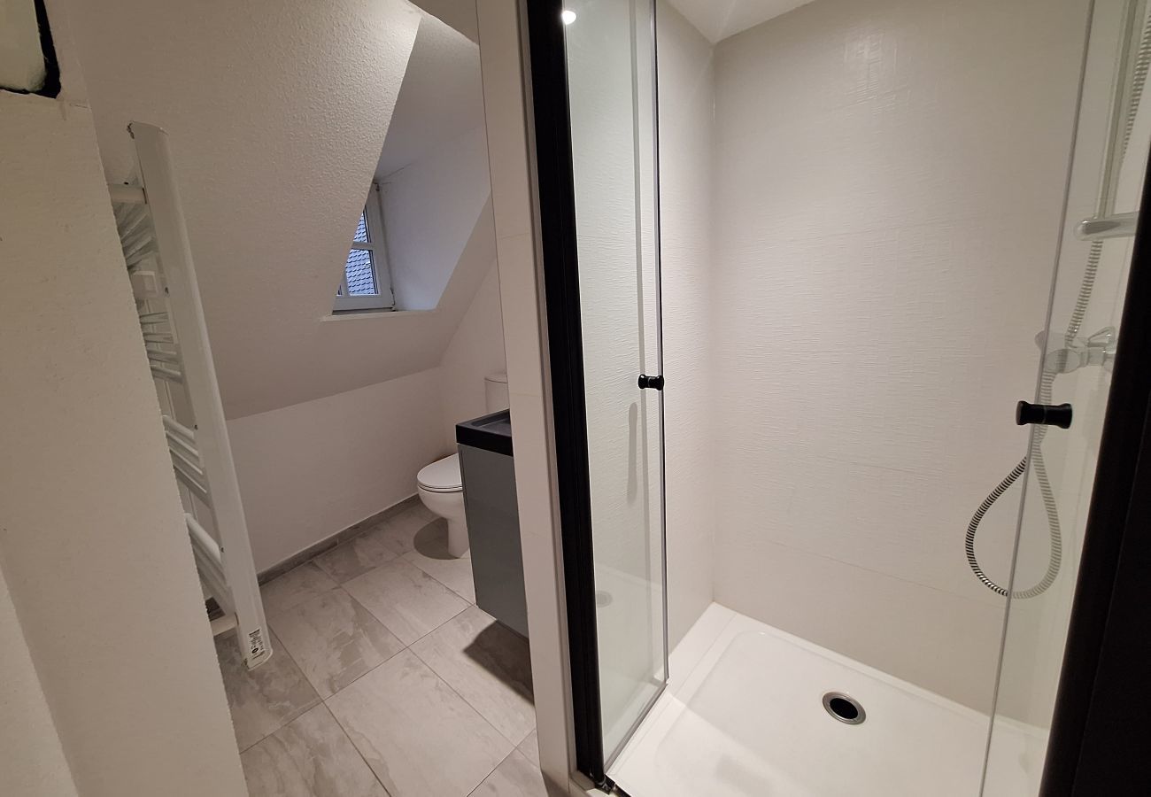 公寓 在 Colmar - Koifhus 3