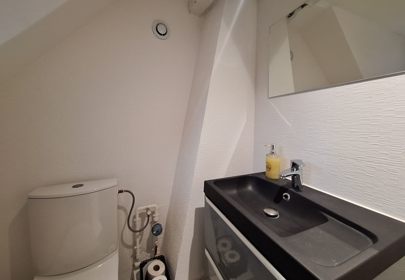 公寓 在 Colmar - Koifhus 3