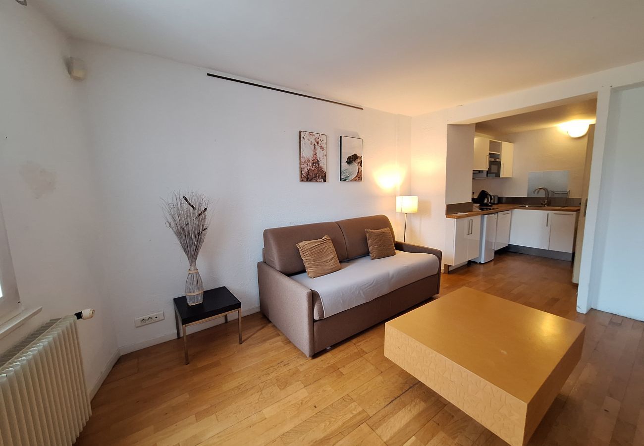 公寓 在 Colmar - Home Petite Venise 1