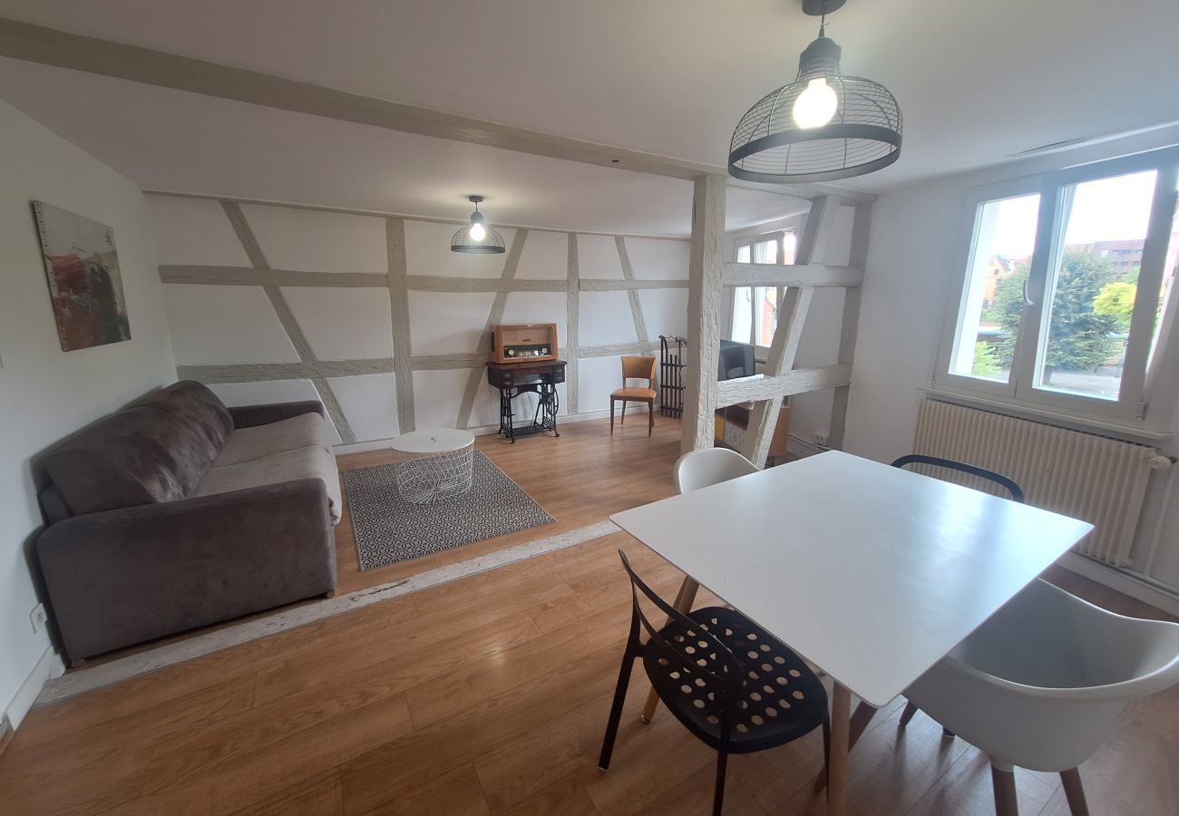 公寓 在 Colmar - Home Petite Venise 2