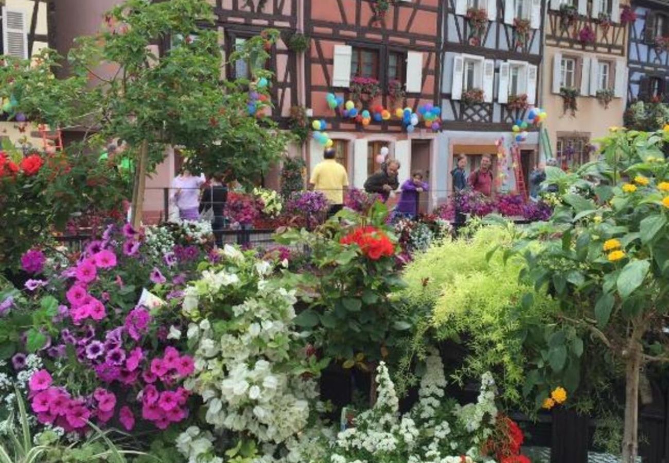公寓 在 Colmar - Home Petite Venise 3